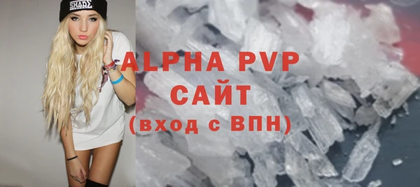 сатива Новокубанск