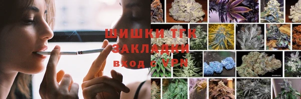 дурь Богородицк