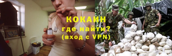 дурь Богородицк