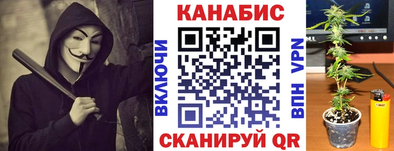 дарнет шоп  Микунь  Конопля семена 